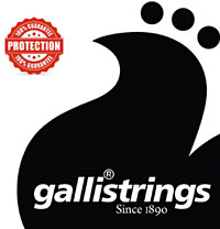 Galli LS1558 Weissenborn Guitar Set G Tunin Phosphor bronze. Gauges: 015 .018 .027w .039 .047 .058